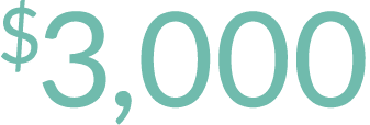  3,000